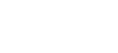 logo_connection_white